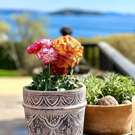 Ξενοδοχείο Utsikten *