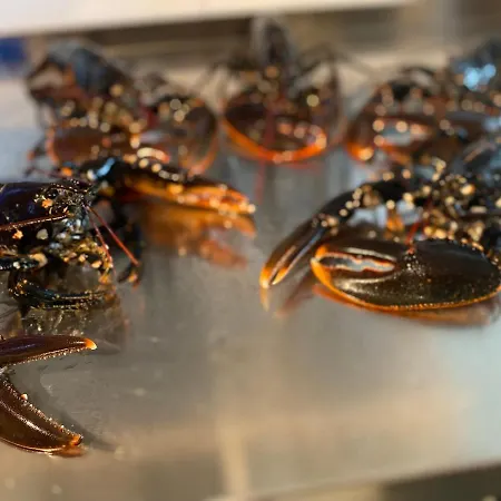 Utsikten Ξενοδοχείο *